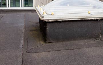 disadvantages of Martin Dales flat roofs